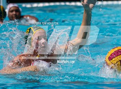 Thumbnail 1 in Damien vs Ayala (D2 Showcase) photogallery.
