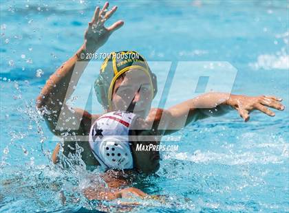Thumbnail 2 in Damien vs Ayala (D2 Showcase) photogallery.