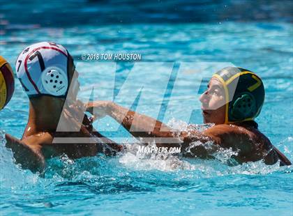 Thumbnail 3 in Damien vs Ayala (D2 Showcase) photogallery.