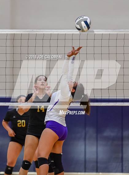 Thumbnail 2 in Edison [Thomas A.] vs Brackenridge photogallery.