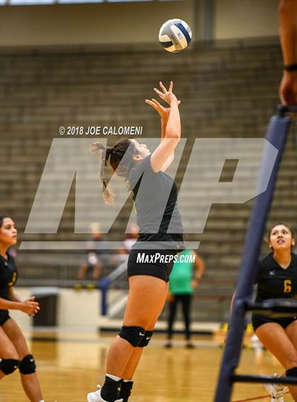 Thumbnail 3 in Edison [Thomas A.] vs Brackenridge photogallery.