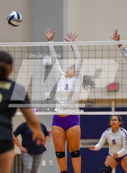 Thumbnail 2 in Edison [Thomas A.] vs Brackenridge photogallery.