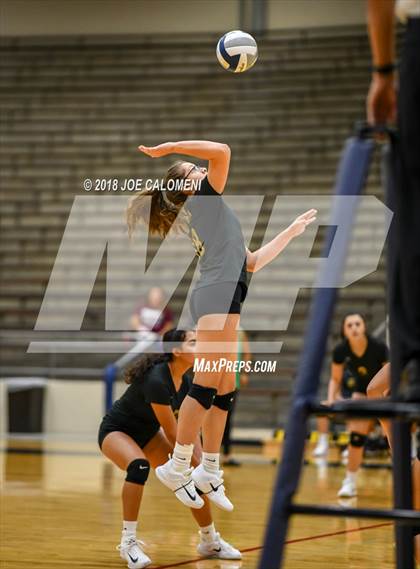 Thumbnail 3 in Edison [Thomas A.] vs Brackenridge photogallery.