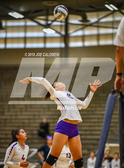 Thumbnail 2 in Edison [Thomas A.] vs Brackenridge photogallery.