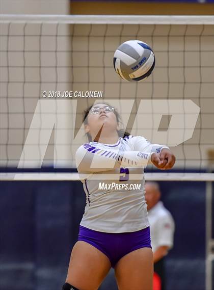 Thumbnail 1 in Edison [Thomas A.] vs Brackenridge photogallery.