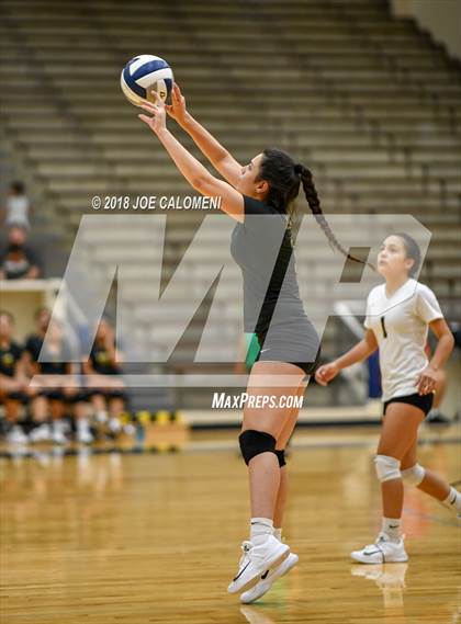 Thumbnail 3 in Edison [Thomas A.] vs Brackenridge photogallery.
