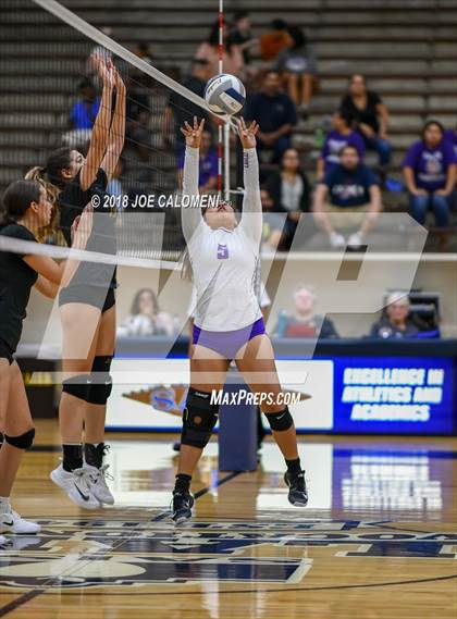 Thumbnail 1 in Edison [Thomas A.] vs Brackenridge photogallery.