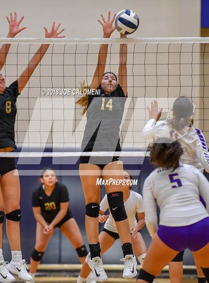 Thumbnail 2 in Edison [Thomas A.] vs Brackenridge photogallery.