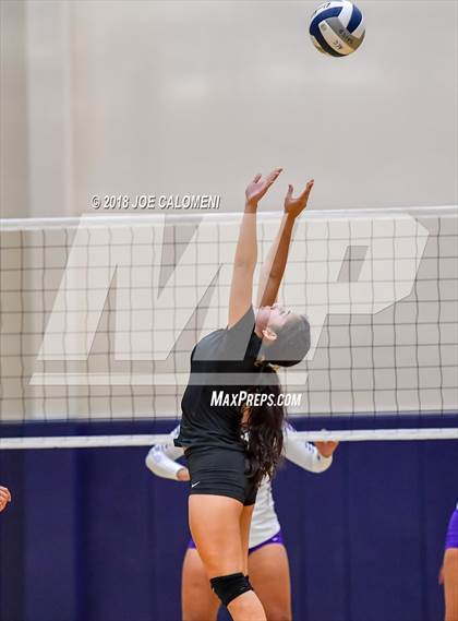 Thumbnail 2 in Edison [Thomas A.] vs Brackenridge photogallery.