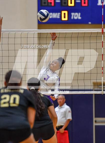 Thumbnail 3 in Edison [Thomas A.] vs Brackenridge photogallery.