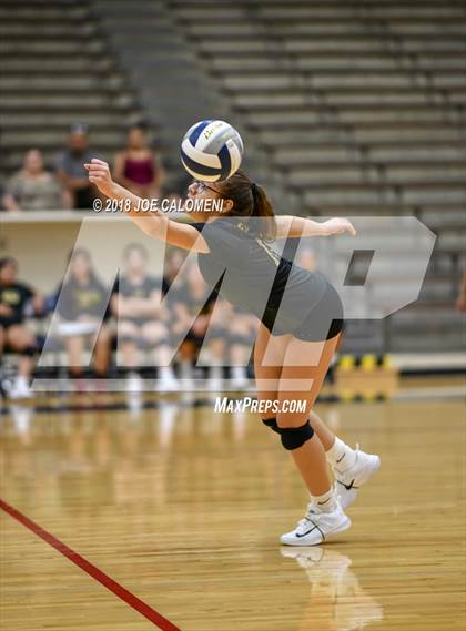 Thumbnail 2 in Edison [Thomas A.] vs Brackenridge photogallery.