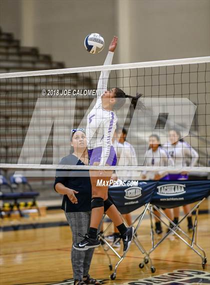 Thumbnail 2 in Edison [Thomas A.] vs Brackenridge photogallery.