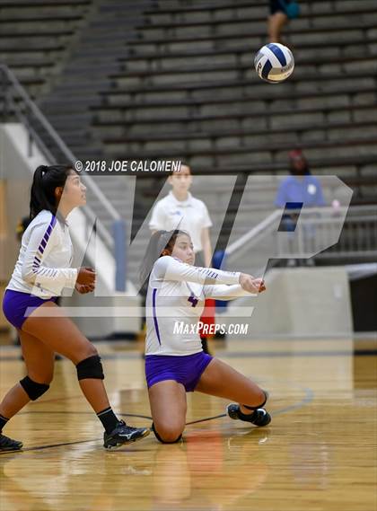 Thumbnail 1 in Edison [Thomas A.] vs Brackenridge photogallery.