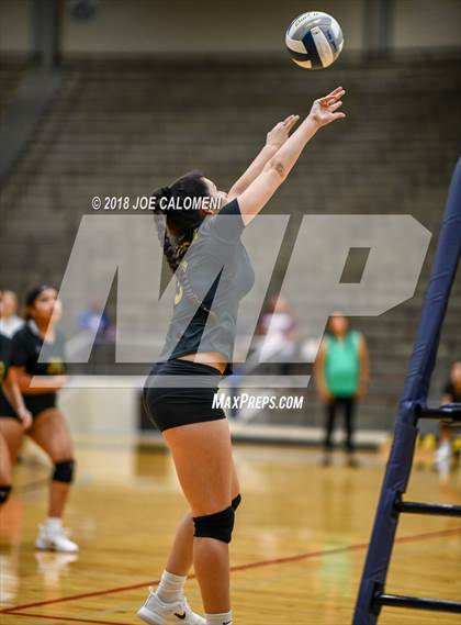 Thumbnail 2 in Edison [Thomas A.] vs Brackenridge photogallery.