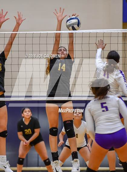 Thumbnail 1 in Edison [Thomas A.] vs Brackenridge photogallery.