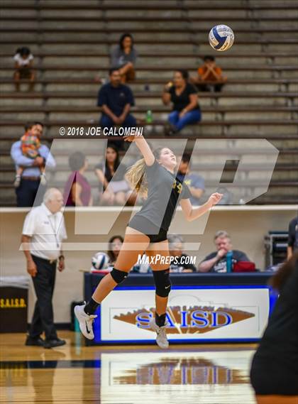 Thumbnail 1 in Edison [Thomas A.] vs Brackenridge photogallery.