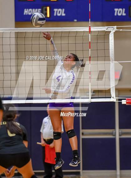 Thumbnail 3 in Edison [Thomas A.] vs Brackenridge photogallery.