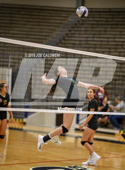Thumbnail 1 in Edison [Thomas A.] vs Brackenridge photogallery.