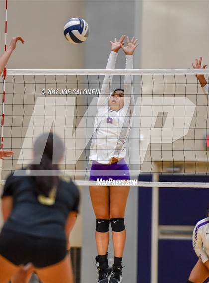 Thumbnail 1 in Edison [Thomas A.] vs Brackenridge photogallery.