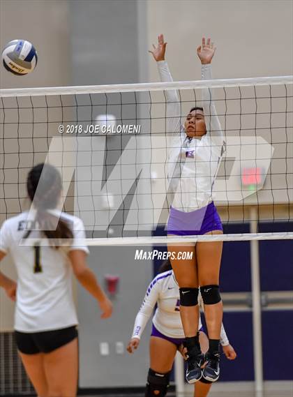 Thumbnail 2 in Edison [Thomas A.] vs Brackenridge photogallery.