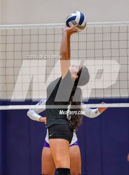 Thumbnail 1 in Edison [Thomas A.] vs Brackenridge photogallery.