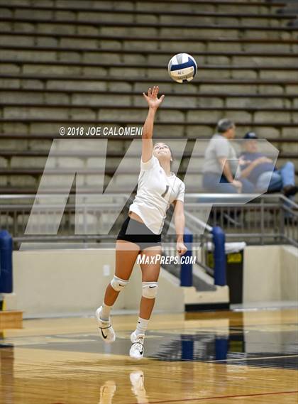Thumbnail 2 in Edison [Thomas A.] vs Brackenridge photogallery.