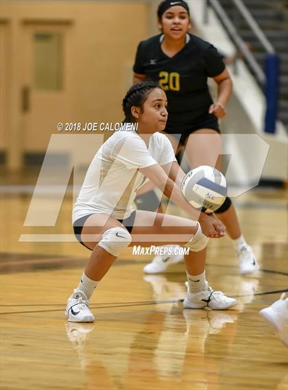 Thumbnail 2 in Edison [Thomas A.] vs Brackenridge photogallery.