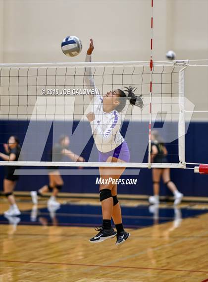 Thumbnail 1 in Edison [Thomas A.] vs Brackenridge photogallery.