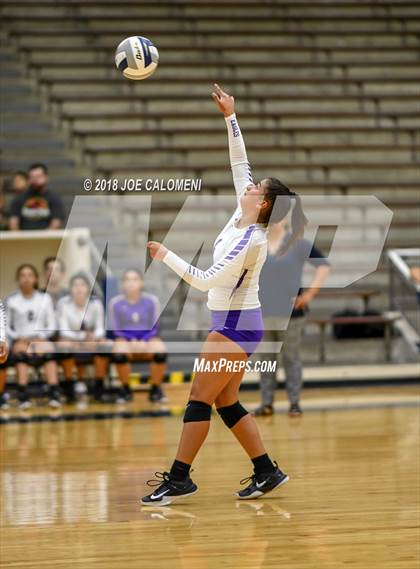 Thumbnail 3 in Edison [Thomas A.] vs Brackenridge photogallery.