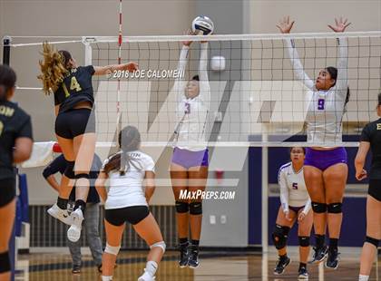 Thumbnail 3 in Edison [Thomas A.] vs Brackenridge photogallery.