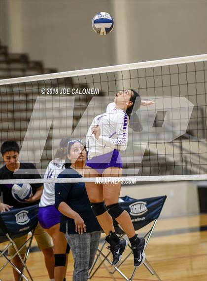Thumbnail 2 in Edison [Thomas A.] vs Brackenridge photogallery.
