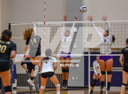 Thumbnail 1 in Edison [Thomas A.] vs Brackenridge photogallery.
