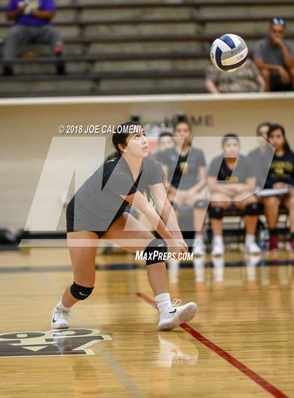 Thumbnail 2 in Edison [Thomas A.] vs Brackenridge photogallery.