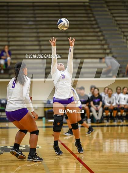 Thumbnail 2 in Edison [Thomas A.] vs Brackenridge photogallery.