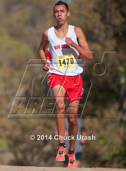 Thumbnail 2 in CIF State Cross Country Championships (D4 Boys Race) photogallery.