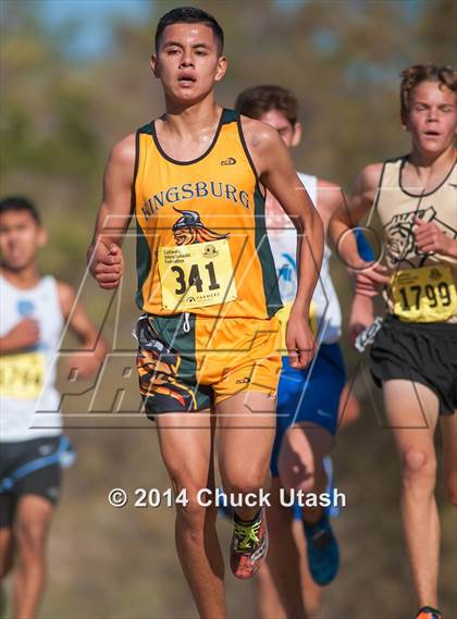 Thumbnail 3 in CIF State Cross Country Championships (D4 Boys Race) photogallery.