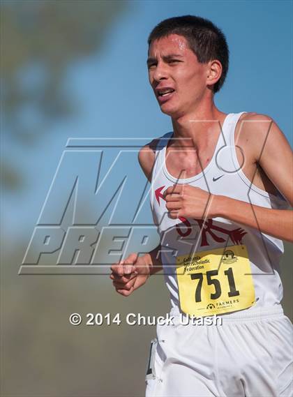 Thumbnail 1 in CIF State Cross Country Championships (D4 Boys Race) photogallery.