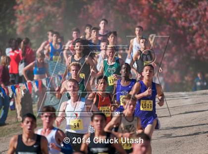 Thumbnail 2 in CIF State Cross Country Championships (D4 Boys Race) photogallery.