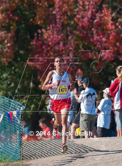 Thumbnail 1 in CIF State Cross Country Championships (D4 Boys Race) photogallery.