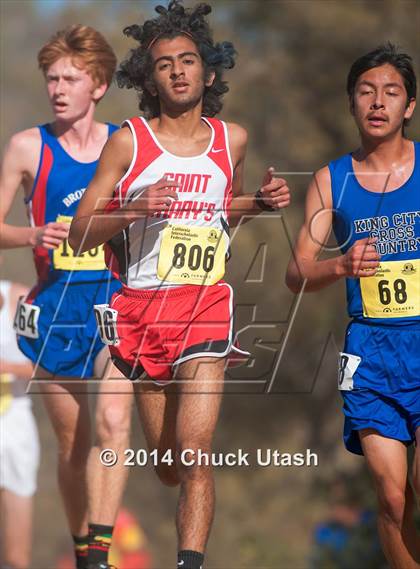 Thumbnail 2 in CIF State Cross Country Championships (D4 Boys Race) photogallery.