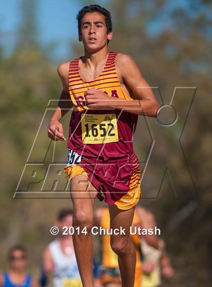 Thumbnail 1 in CIF State Cross Country Championships (D4 Boys Race) photogallery.