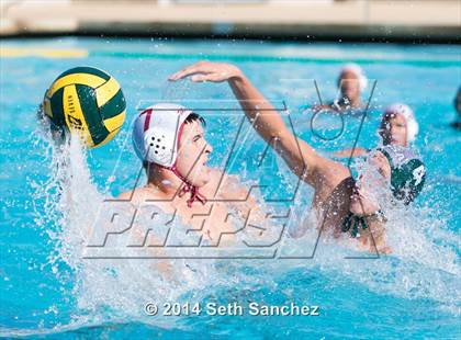 Thumbnail 2 in West Valley @ Mesa photogallery.