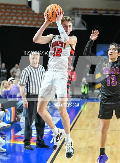Thumbnail 1 in Brophy College Prep vs. Mesa  (AIA 6A Final) photogallery.