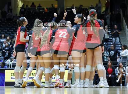 Thumbnail 3 in Randall vs. Salado (UIL 4A Volleyball Semifinal) photogallery.
