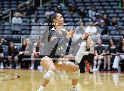 Thumbnail 2 in Randall vs. Salado (UIL 4A Volleyball Semifinal) photogallery.