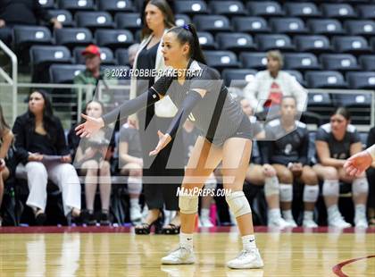 Thumbnail 2 in Randall vs. Salado (UIL 4A Volleyball Semifinal) photogallery.