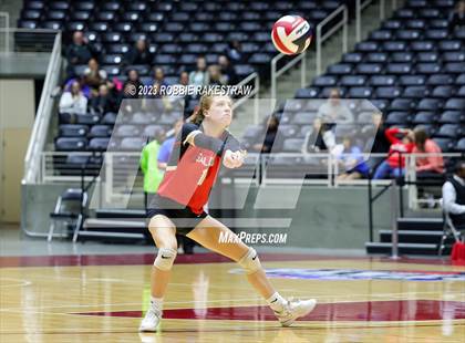 Thumbnail 2 in Randall vs. Salado (UIL 4A Volleyball Semifinal) photogallery.