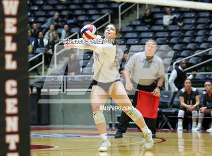 Thumbnail 2 in Randall vs. Salado (UIL 4A Volleyball Semifinal) photogallery.