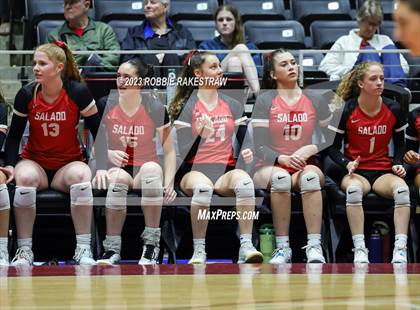 Thumbnail 3 in Randall vs. Salado (UIL 4A Volleyball Semifinal) photogallery.