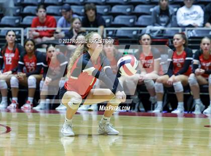 Thumbnail 3 in Randall vs. Salado (UIL 4A Volleyball Semifinal) photogallery.